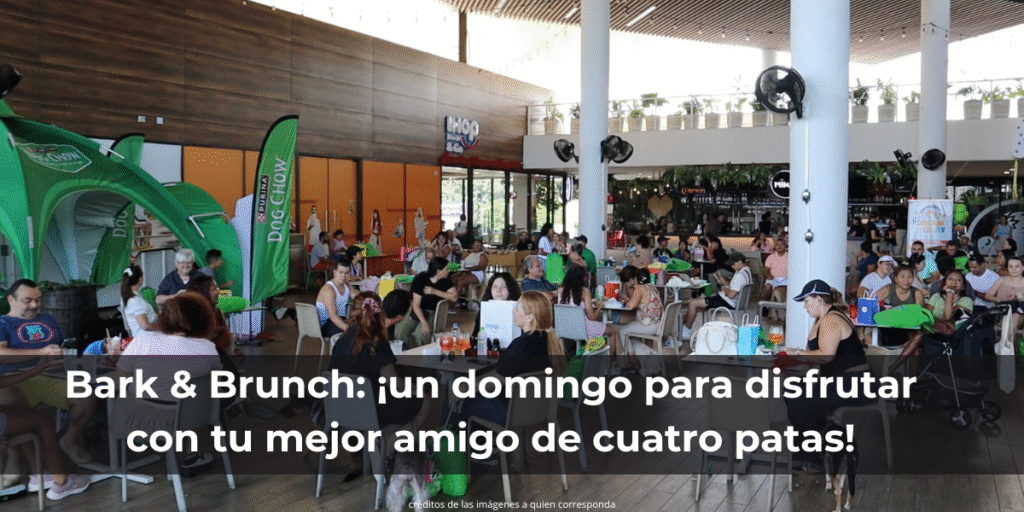 Bark & Brunch: ¡un domingo para disfrutar con tu mejor amigo de cuatro patas!