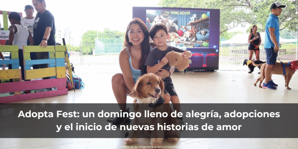 Adopta Fest: un domingo lleno de alegría, adopciones y el inicio de nuevas historias de amor